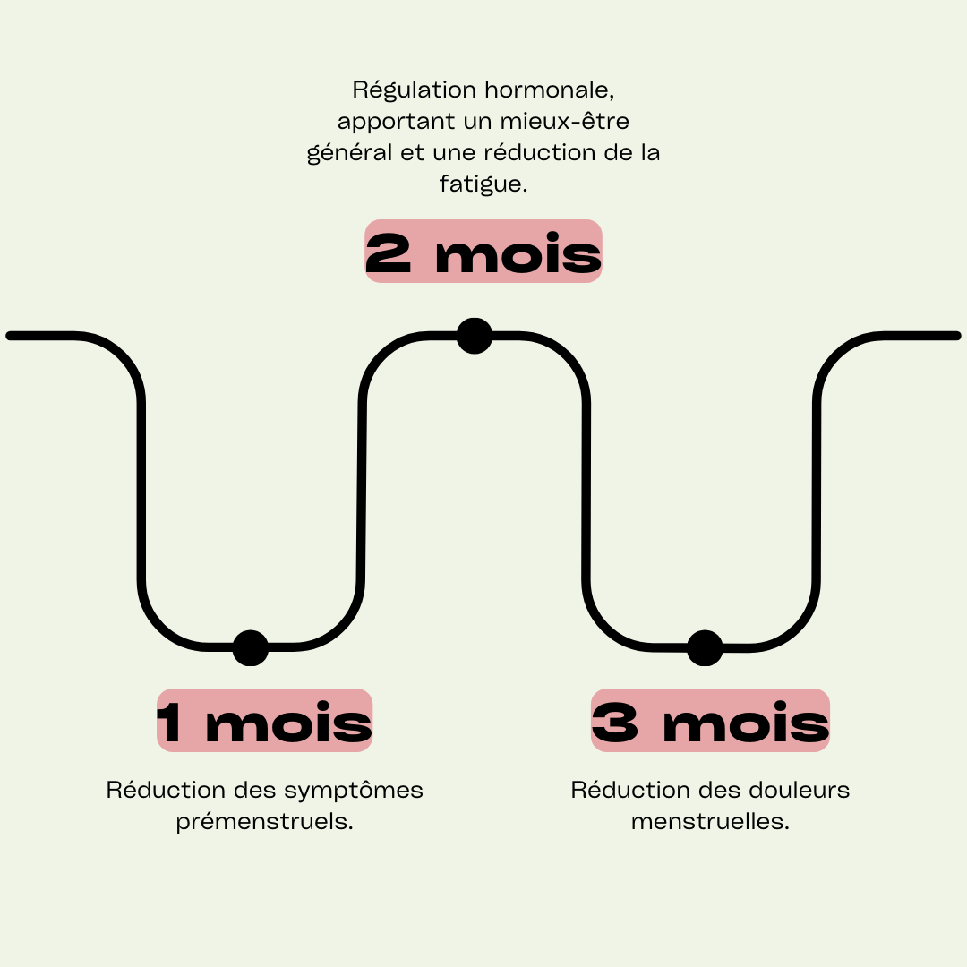 Tisane SPM - équilibre hormonal -Cycle 1